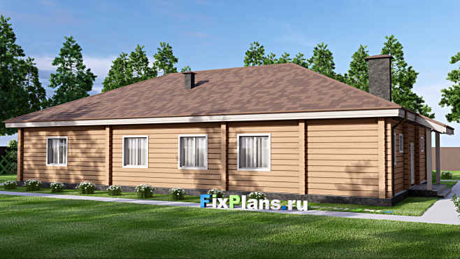 Проект одноэтажного дома F-14318 — вид со двора
