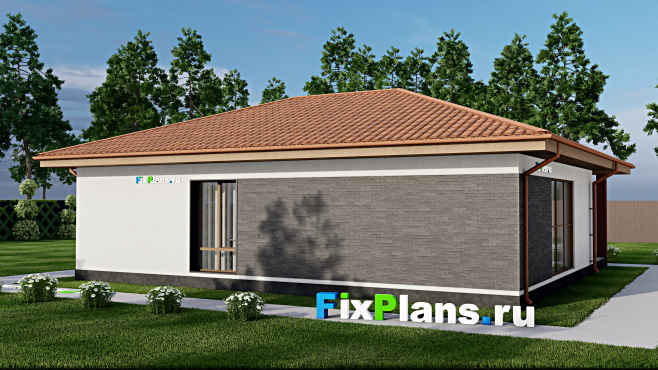 Проект одноэтажного дома F-10646 — вид со двора