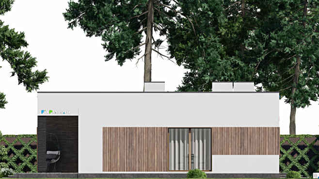 Проект одноэтажного дома F-9341 — фасад 2