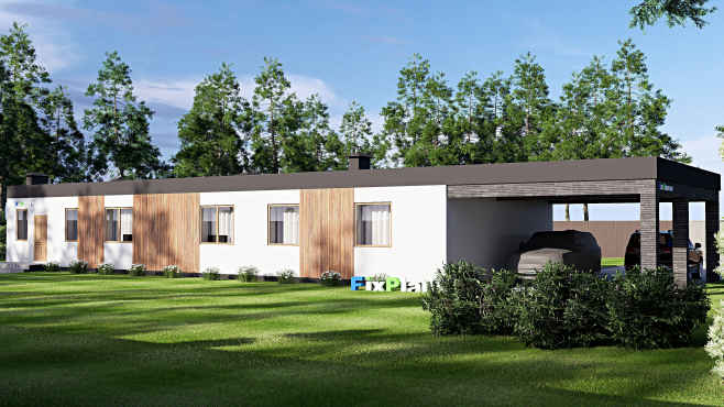 Проект одноэтажного дома F-17882 — вид со двора